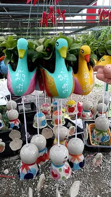 Airplants Set 05 Pc : No.10 — rare Airplants plant from Thailand
